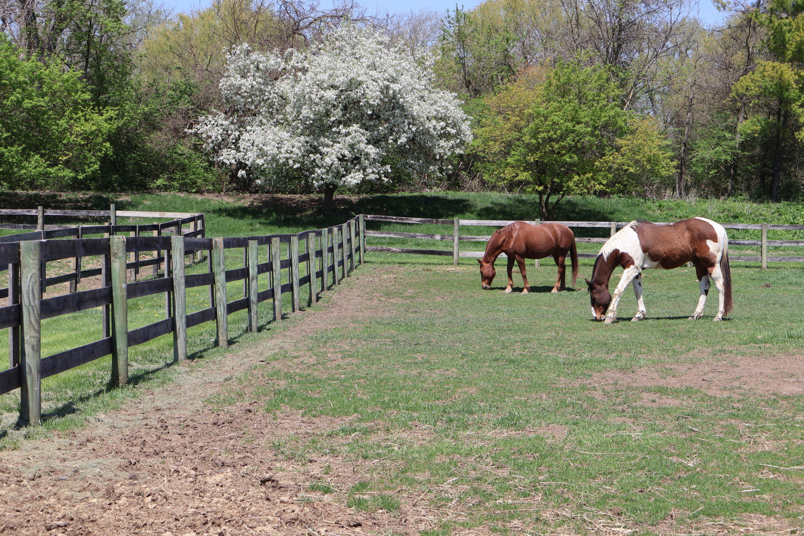 River Hollow Facilities (15)