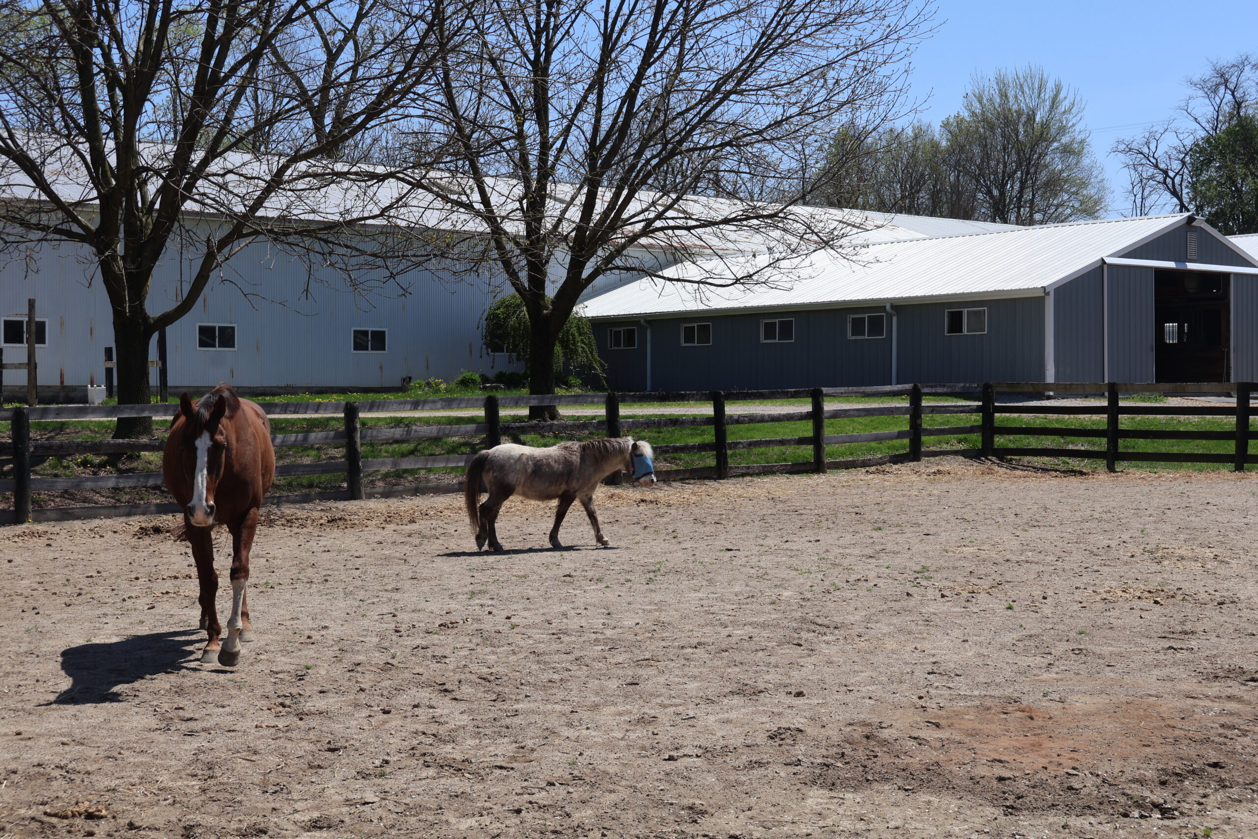 River Hollow Facilities (16)